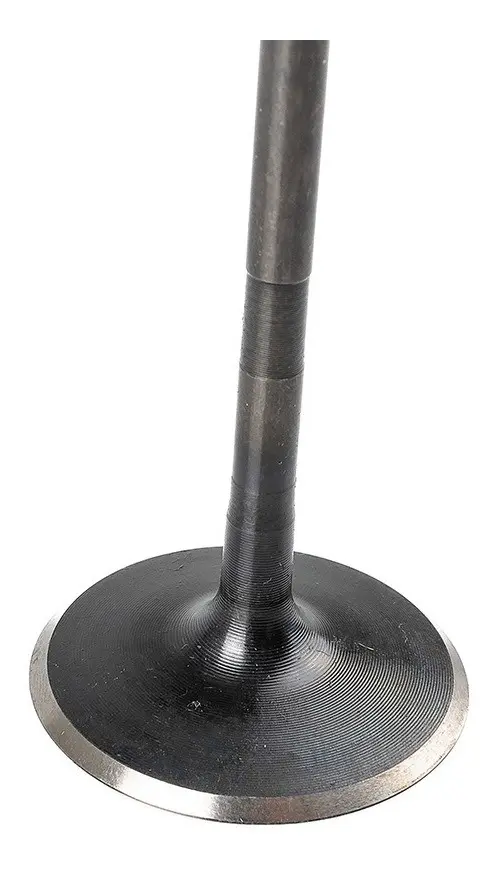 JF511204-4