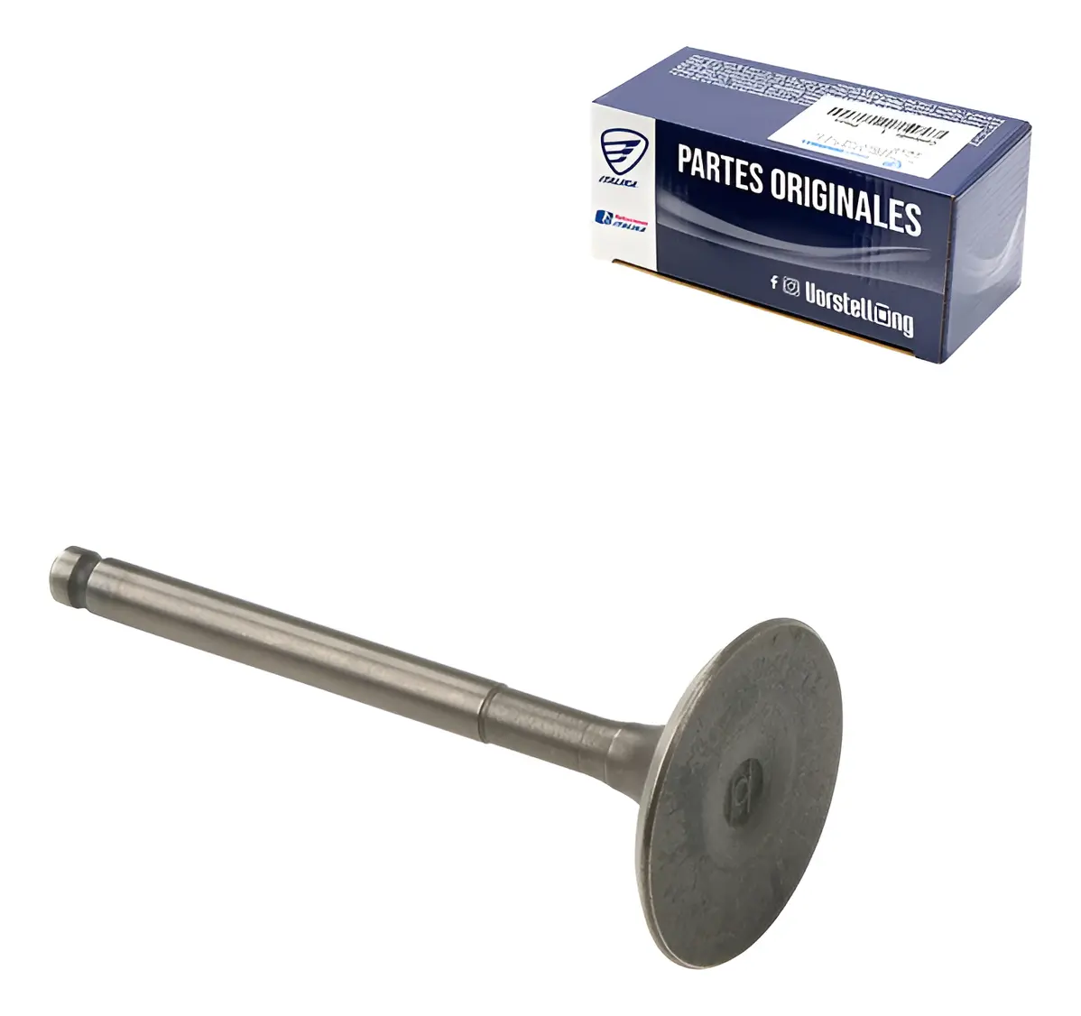 Valvula De Admision D150 Ws150 Italika Original E04050002